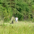 Torfy Orońskie