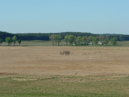 biedrzynski1