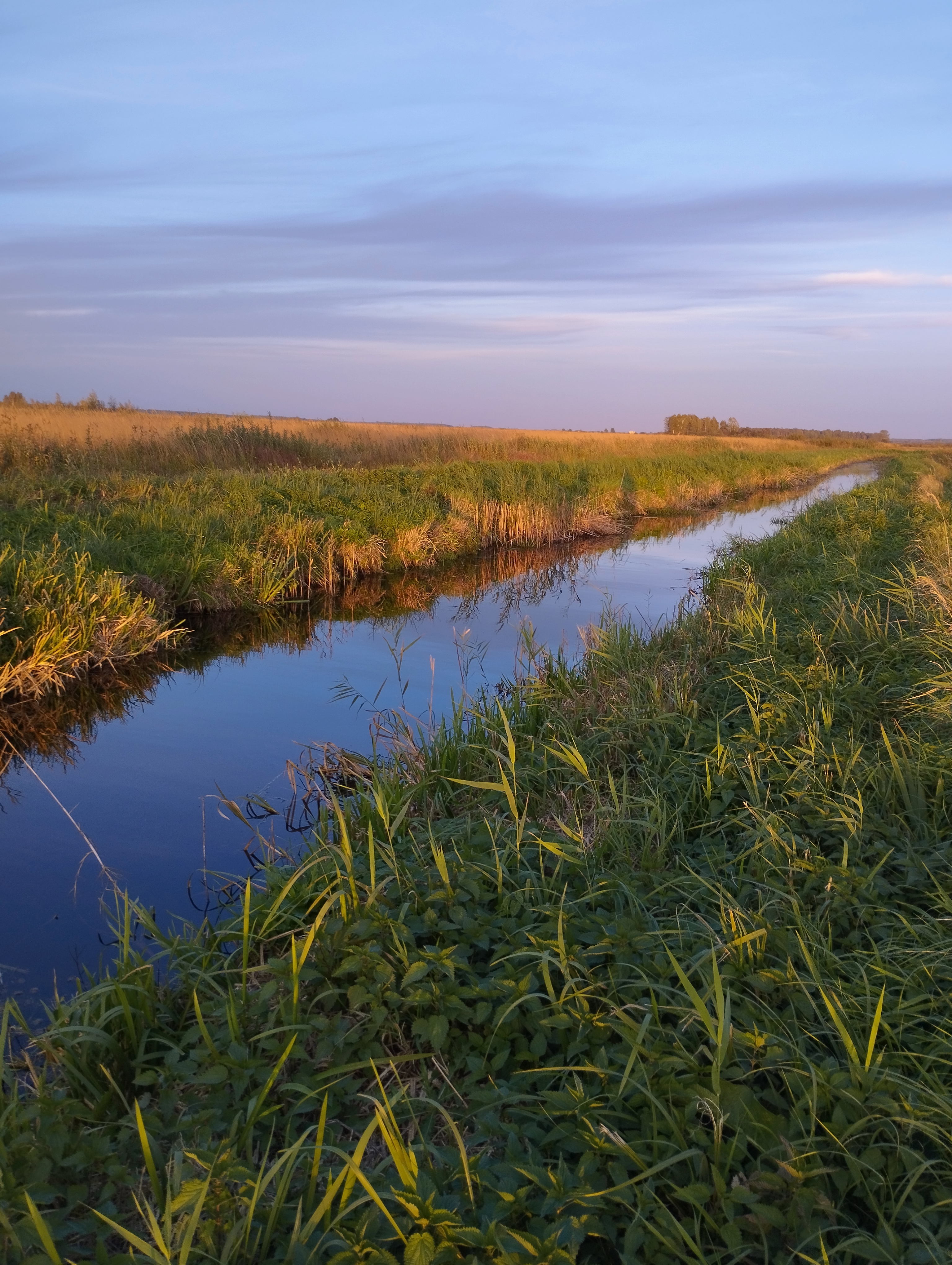 Strategia konsultacje AL