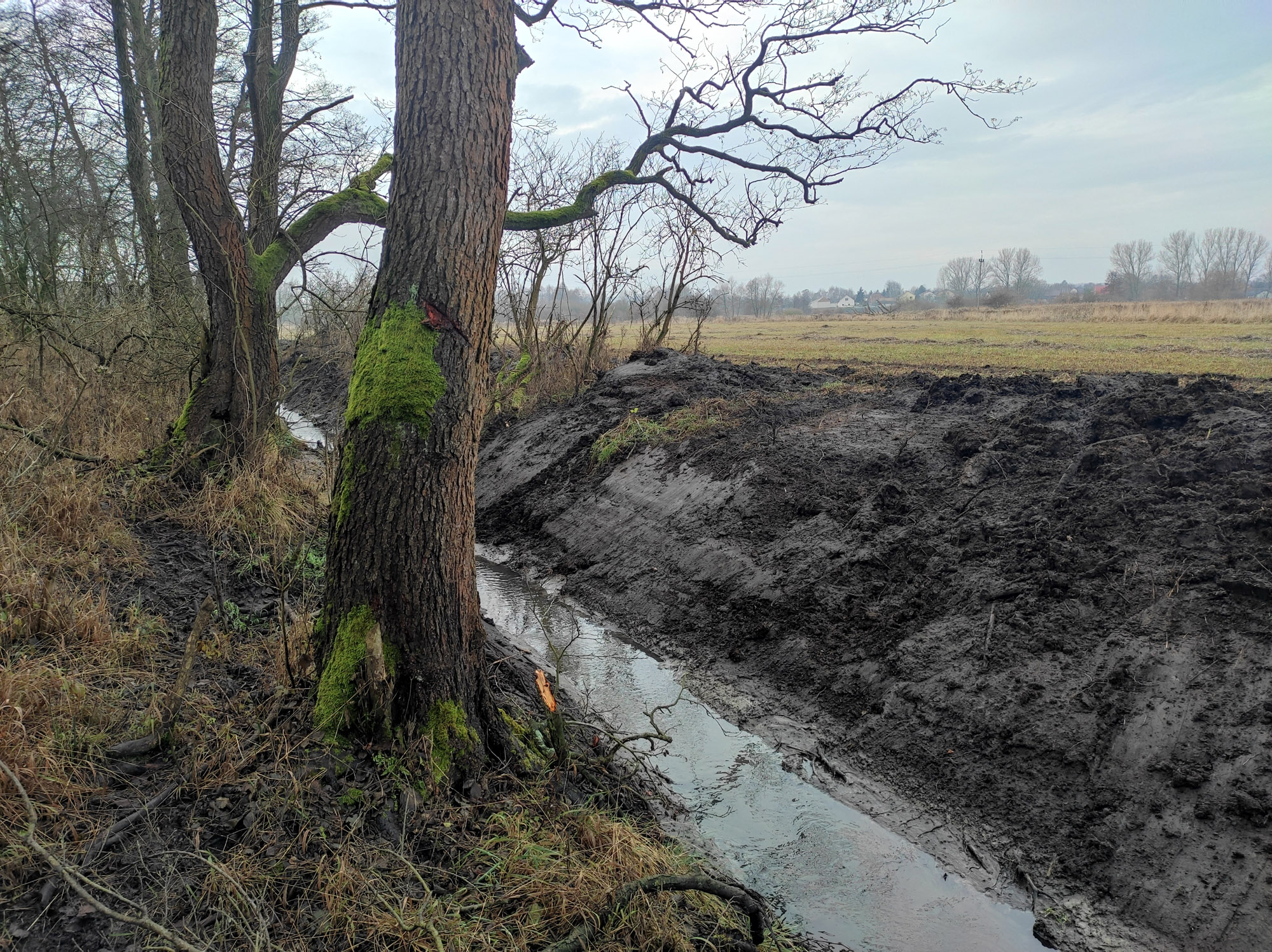 zdj J Morawski SNB prace nawodnieniowe wg ZSiNPK 1