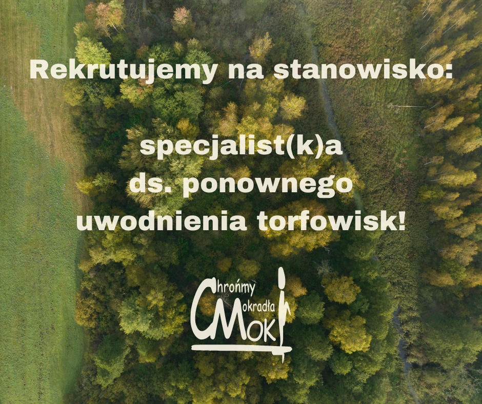 rekrutacja na stanowisko specjalistka ds. ponownego uwodnienia mokradel